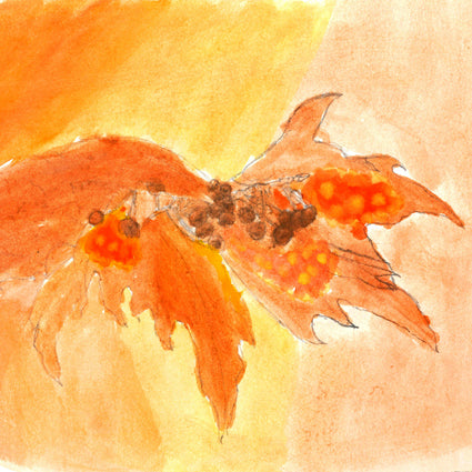 b kinder greeting cards: singles